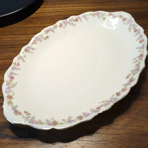 Antique Charles Ahrenfeldt Limoges France Oval Serving Platter Tray 11" - Bild 1 von 17