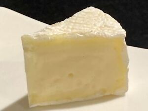 Food Sample Camembert Cheese