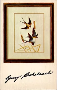 Guy Coheleach Scheune Schwalbe Sammler Vintage Postkarte Spc10 - Bild 1 von 2