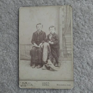 Antique Cabinet Card Photo Brothers Boys Victorian Mills Manchester Iowa 1892 - Picture 1 of 4