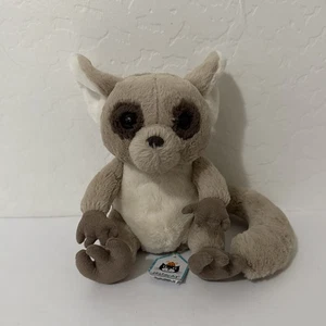 Jellycat Bruce Bush Baby Plüschtier - Galago Tier selten - nicht mehr produziert authentisch - Bild 1 von 9
