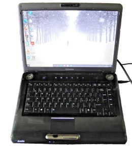 Toshiba Satellite A300 Notebook PC T8100 4gb DDR2 320gb HDD DVD VGA Windows 10 - Photo 1/6