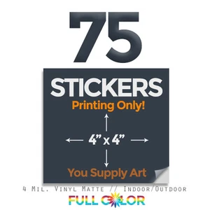 75 PEGATINAS DE VINILO DE CALIDAD PERSONALIZADA; solo impresión + envío gratuito (4"" x 4") cuadrado - Imagen 1 de 1