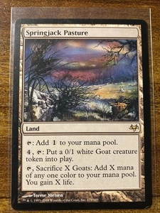 MTG✨SPRINGJACK PASTURE ✨Eventide NM/M Rare 2008 T. Nielsen LAND Art UNPLAYED - Picture 1 of 8
