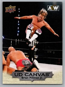 Upper Deck 2022 AEW All Elite Wrestling - Ud Canvas Brian Pillman Jr. #C1 (RC) - Imagen 1 de 2