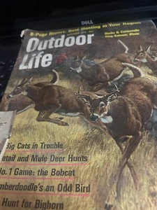 Vintage OUTDOOR LIFE October 1970 hunting / fishing - Picture 1 of 11