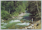 Postcard Fishing in one of Northern California's Trout Streams