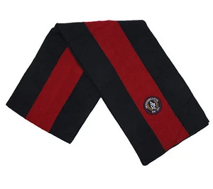 ABERCROMBIE & FITCH WOMENS NEW SCARF - Picture 1 of 3