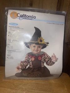 Sunny Scarecrow Costume for Infants 12-18 Months - Picture 1 of 6