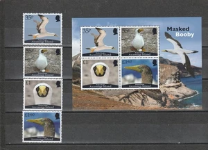 ASCENSIÓN, 2025, PÁJAROS - PIQUERO, 4v.+ M/S. MNH, ¡NUEVO! - Imagen 1 de 1