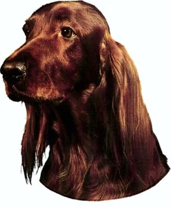 Aufkleber Iirsh Setter 125 x 110 mm  Auto Aufkleber Sticker - Bild 1 von 1