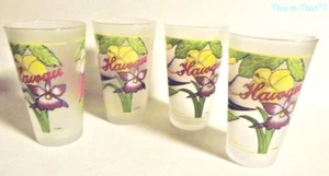 Raro set di 4 bicchieri in vetro smerigliato Hawaii firmati dall'artista DK Hayes - Foto 1 di 6