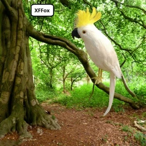 nuevo modelo loro blanco vida real espuma y pluma cacatúa pájaro regalo unos 42 cm - Imagen 1 de 3