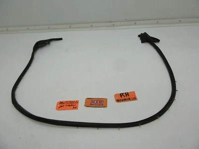 para puerta tiburón sello goma tira meteorológica moldura canal pasajero derecho r rf Foto 1 de 4