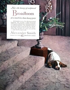 Alfombra de telar ancho con foto de perro Springer Spaniel galés 1952 anuncio impreso Alexander Smith - Imagen 1 de 1