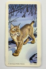 North American Wildlife In Danger Lynx No 34 Brooke Bond Tea Card CC703