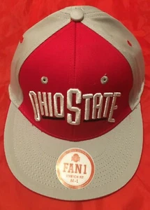 OHIO STATE HAT BUCKEYES STYLISH FLEX HAT CAP MD-LG $10 OFF NEW - Bild 1 von 4