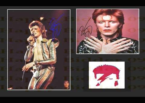 A3 Size Card Mounted Signed David Bowie Ziggy Star Dust Awesome Pictures Cover