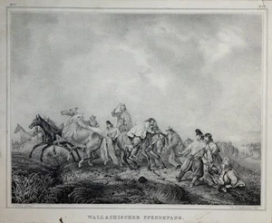 Lithographie de SCHUHMANN, d'ap. HESS, "Wallachischer Pferdefang", XIXème - Imagen 1 de 1
