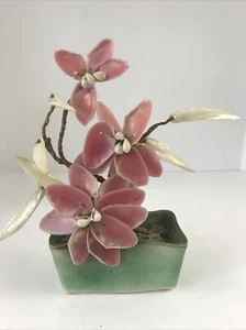Maceta bonsái verde de colección con cáscara tallada hojas de abulón blanco flores rosa orquídea - Imagen 1 de 12
