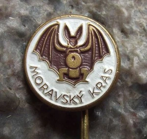 Moravian Caves Moravsky Kras Flying Long Eared Bat Tourist Souvenier Pin Badge - Picture 1 of 1