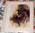 Head of a Staffordshire Bull Terrier by Mick Cawston - Signed Print
