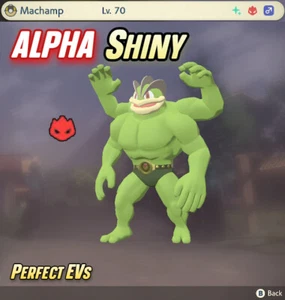 MACHAMP ALPHA SHINY 🌟 Pokemon Legends: Arceus | EV Trained - Picture 1 of 2