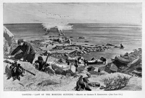 DUCKBOATS DECOYS SPORTSMEN HUNTING SHOOTING COOTS MORNING GUNNING COOTING HUNT - Picture 1 of 1