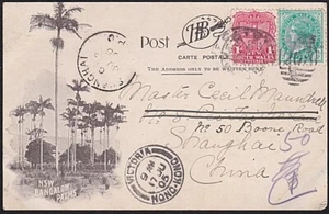 CHINA 1905 Postkarte aus New South Wales über Hong Kong & Shanghai BPO......D1428 - Bild 1 von 2