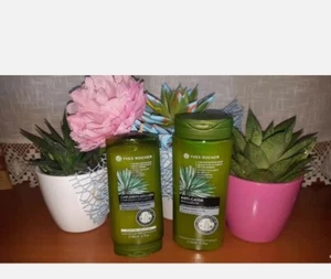 Shampoo Stimolante 300 ml Balsamo Fortificante 200 ml Yves Rocher - Foto 1 di 1