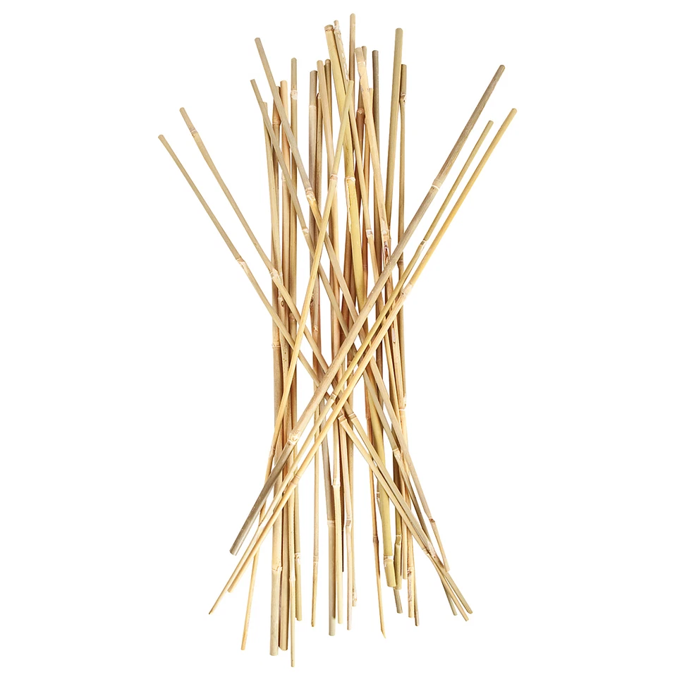 HYDROFARM 2Ft Bamboo Stakes 25 Pack Plant Support