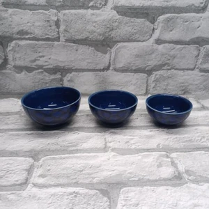 Destiny 2 Beutekiste Exclusive Nessus Failsafe 3 Nistschalen  - Bild 1 von 8