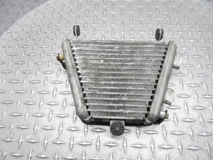 Conjunto de núcleo de carcasa de radiador enfriador de aceite 2013 12-16 Suzuki GSXR 1000 GSXR1000 - Imagen 1 de 11
