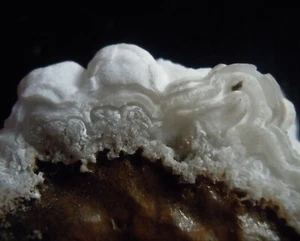 ARAGONITE (AR16/1) mineral from Lavrion, Greece - Picture 1 of 8