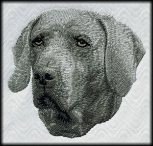 Weimaraner Dog Embroidered Patches comes in 2" 3" and 4" sizes Iron on or sew on - Picture 1 of 5