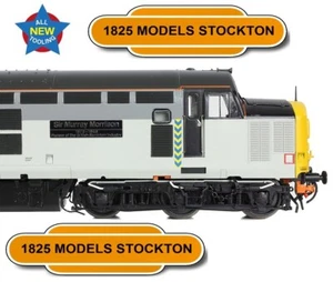 BACHMANN 35-337 CLASS 37/4 37423 SIR MURRAY MORRISON BR METALS SECTOR PLUX22 - Picture 1 of 9