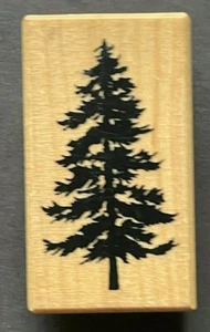 Pine Evergreen Tree Nature Forest Plant Botanical PSX D1163 Wood Rubber Stamp - Picture 1 of 4