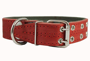 Real Leather Dog Collar Padded 1.5" Wide  22.5"-26.5" neck size Mastiff Doberman