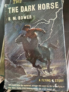 1943 Ed Triangle Books - Copyright 1931  B.M. Bower - The Dark Horse - HCDJ - Imagen 1 de 10