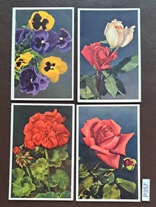 Collection of 4 Vintage 'Edition Stelhi' Flower Postcards(P357) - Picture 1 of 2