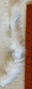 Antique Doll Fur for Antique or Early Doll, - Picture 1 of 1