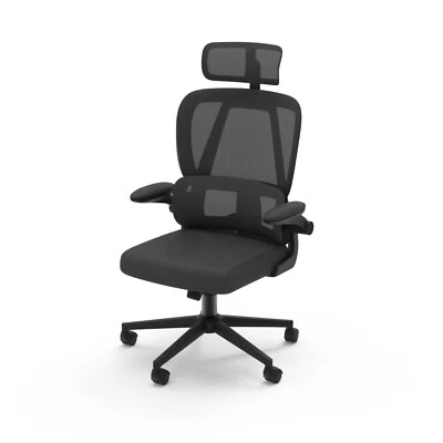 Silla Ejecutiva Ergonómica Malla Grande y Alta Soporte Lumbar Ajustable para Oficina Foto 1 de 4
