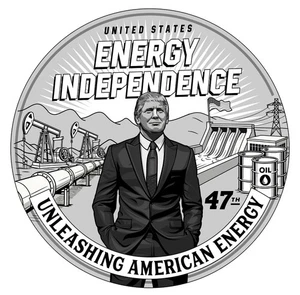 Ronda de plata Trump de 1 oz .999 BU MAGA 2024 dependencia energética L/E/4500 EN MANO - Imagen 1 de 3