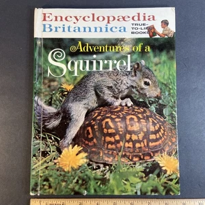 Encyclopedia Britannica-Adventures Of A Squirrel-Hardback-Vintage 1962 - Picture 1 of 19