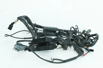 Arnés de cableado principal EFI 04 Harley Softail FLSTC Heritage OEM 70216-04A Foto 1 de 4