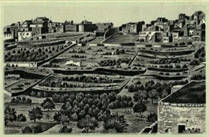 Jersey Coffee Litho. Tarjeta comercial victoriana serie Belén Palestina Dayton OH - Imagen 1 de 4