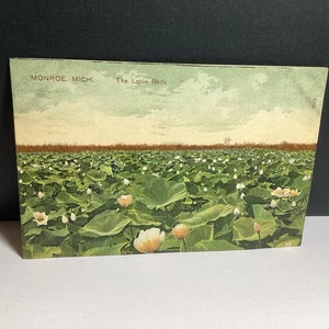 1910 ANTIQUE POSTCARD OF HOTEL HASCALL IN GOSHEN INDIANA TROLLEY PERSON - Picture 1 of 15