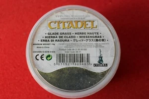 Games Workshop Warhammer Citadel Glade Grass Tub 15g Basing Flock OOP GW BNIB - Picture 1 of 2