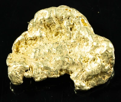 #541 Large Alaskan BC Gold Nugget 22.43 Grams Genuine - Image 1 of 4