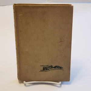 The Cruise Of The Bouncing Betsy by J.N. DARLING "DING" - RARE 1937 Book - NO DJ - Picture 1 of 12